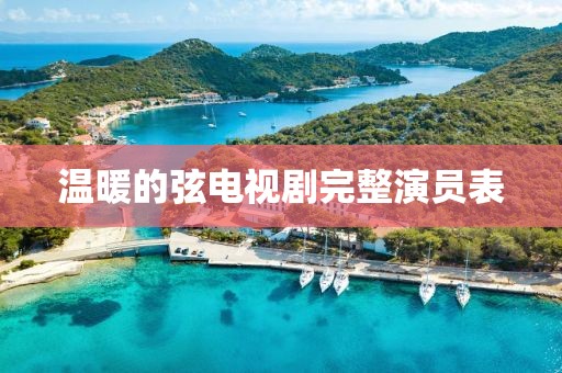 温暖的弦电视剧完整演员表