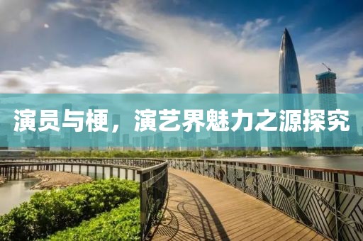 演员与梗，演艺界魅力之源探究