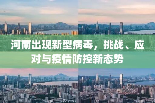 河南出现新型病毒，挑战、应对与疫情防控新态势