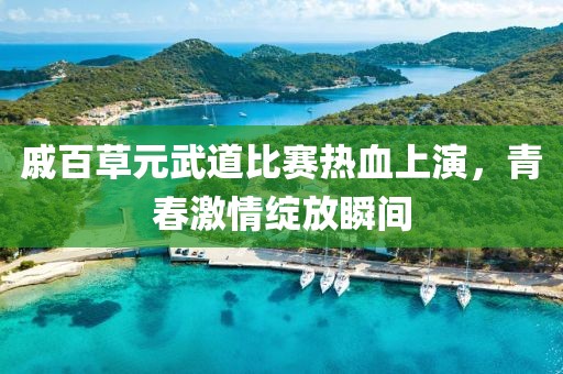 戚百草元武道比赛热血上演，青春激情绽放瞬间