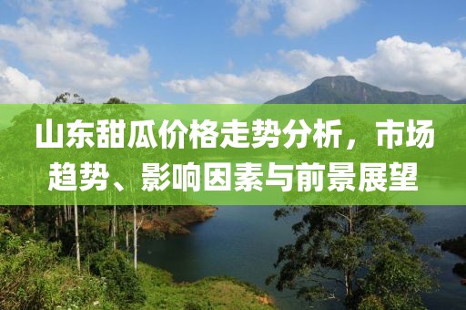 山东甜瓜价格走势分析，市场趋势、影响因素与前景展望