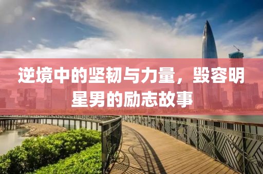 逆境中的坚韧与力量，毁容明星男的励志故事