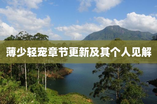 薄少轻宠章节更新及其个人见解