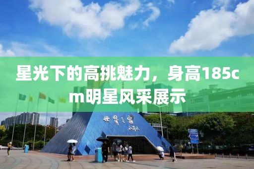 星光下的高挑魅力，身高185cm明星风采展示