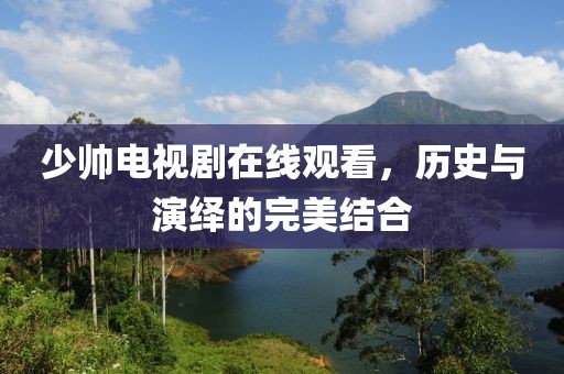 少帅电视剧在线观看，历史与演绎的完美结合
