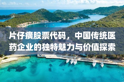 片仔癀股票代码，中国传统医药企业的独特魅力与价值探索