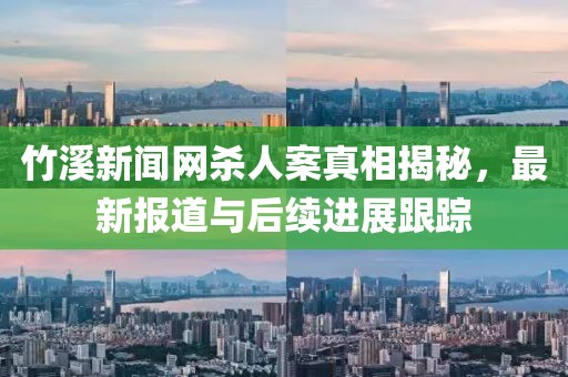竹溪新闻网杀人案真相揭秘，最新报道与后续进展跟踪