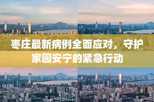 枣庄最新病例全面应对，守护家园安宁的紧急行动