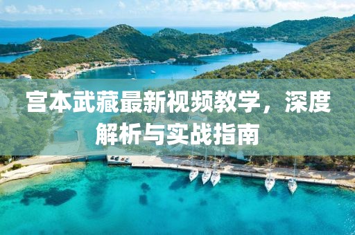 宫本武藏最新视频教学，深度解析与实战指南