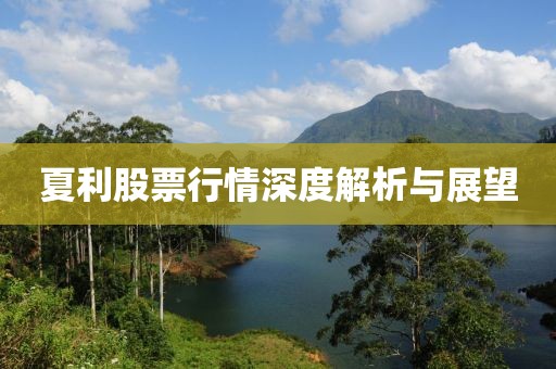 夏利股票行情深度解析与展望