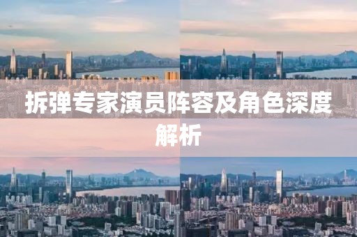拆弹专家演员阵容及角色深度解析