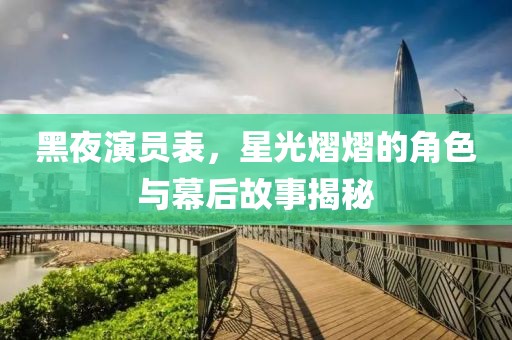 黑夜演员表，星光熠熠的角色与幕后故事揭秘