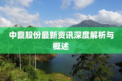 中鼎股份最新资讯深度解析与概述