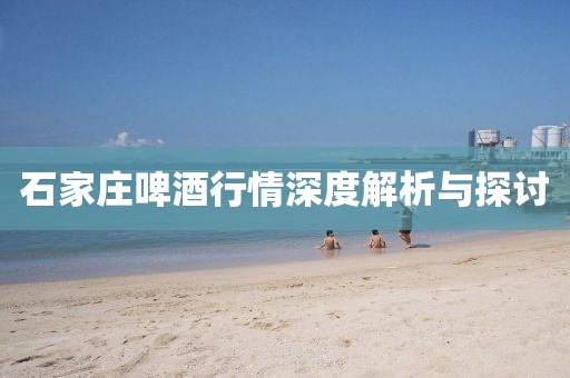 石家庄啤酒行情深度解析与探讨