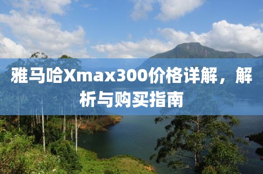 雅马哈Xmax300价格详解，解析与购买指南