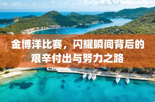 金博洋比赛，闪耀瞬间背后的艰辛付出与努力之路