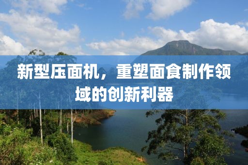 新型压面机，重塑面食制作领域的创新利器