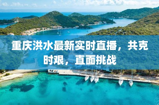 女王霸气 第15页