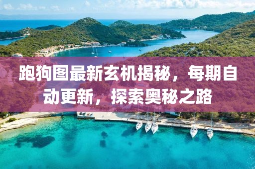 跑狗图最新玄机揭秘，每期自动更新，探索奥秘之路