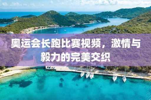 奥运会长跑比赛视频，激情与毅力的完美交织