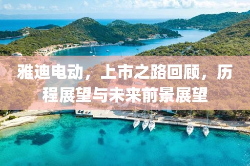 雅迪电动，上市之路回顾，历程展望与未来前景展望