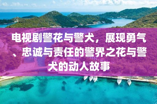 电视剧警花与警犬，展现勇气、忠诚与责任的警界之花与警犬的动人故事