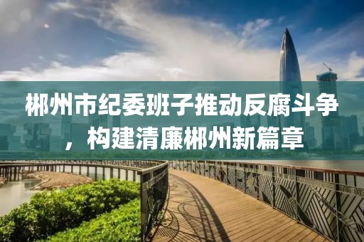 郴州市纪委班子推动反腐斗争，构建清廉郴州新篇章