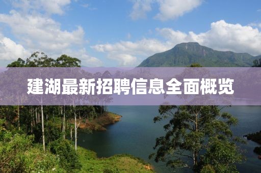 建湖最新招聘信息全面概览