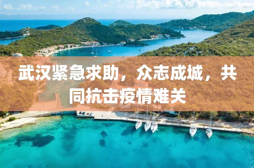 武汉紧急求助，众志成城，共同抗击疫情难关
