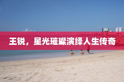 王锐，星光璀璨演绎人生传奇