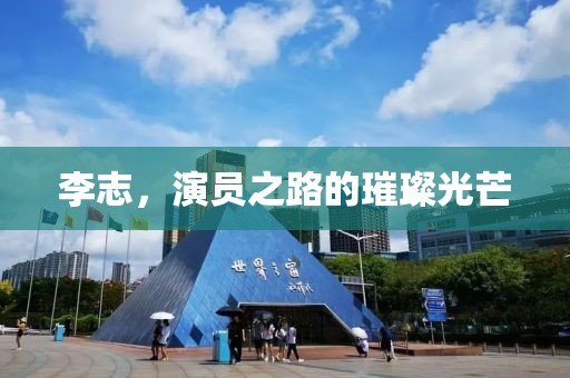 李志，演员之路的璀璨光芒