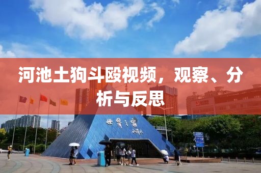 河池土狗斗殴视频，观察、分析与反思