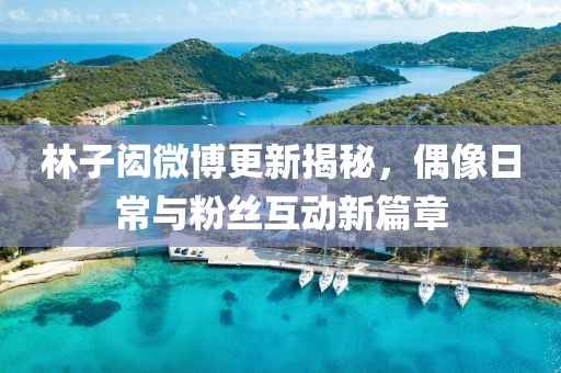 林子闳微博更新揭秘，偶像日常与粉丝互动新篇章