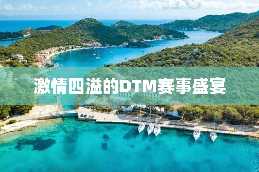 激情四溢的DTM赛事盛宴