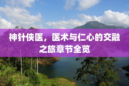 神针侠医，医术与仁心的交融之旅章节全览