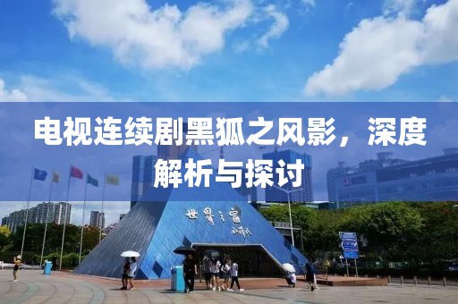 电视连续剧黑狐之风影，深度解析与探讨