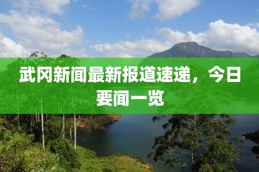 武冈新闻最新报道速递，今日要闻一览