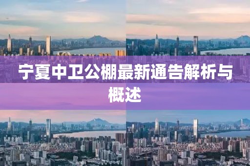 年少 第10页