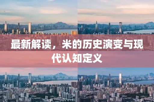 最新解读，米的历史演变与现代认知定义