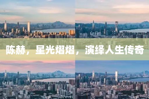 陈赫，星光熠熠，演绎人生传奇