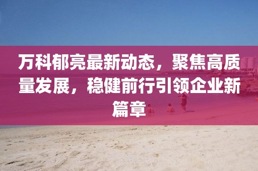万科郁亮最新动态，聚焦高质量发展，稳健前行引领企业新篇章