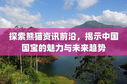 探索熊猫资讯前沿，揭示中国国宝的魅力与未来趋势