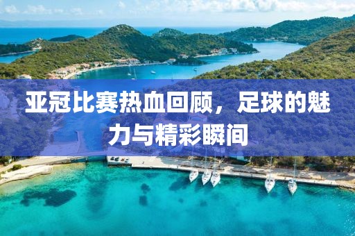 亚冠比赛热血回顾，足球的魅力与精彩瞬间