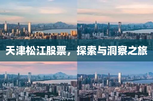 天津松江股票，探索与洞察之旅