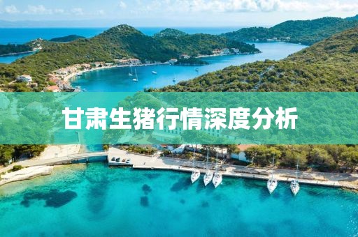甘肃生猪行情深度分析