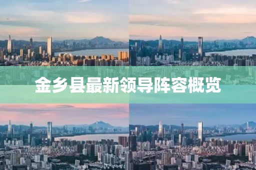 金乡县最新领导阵容概览