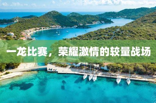 一龙比赛，荣耀激情的较量战场