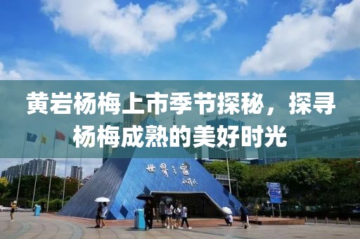 黄岩杨梅上市季节探秘，探寻杨梅成熟的美好时光
