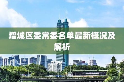 增城区委常委名单最新概况及解析
