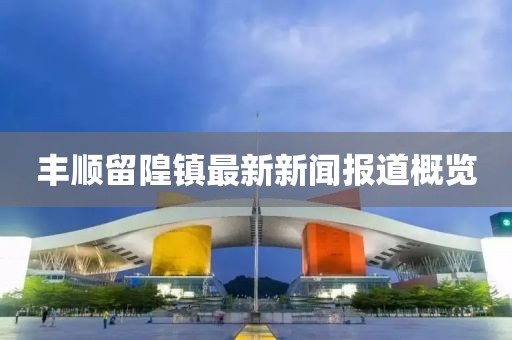 丰顺留隍镇最新新闻报道概览